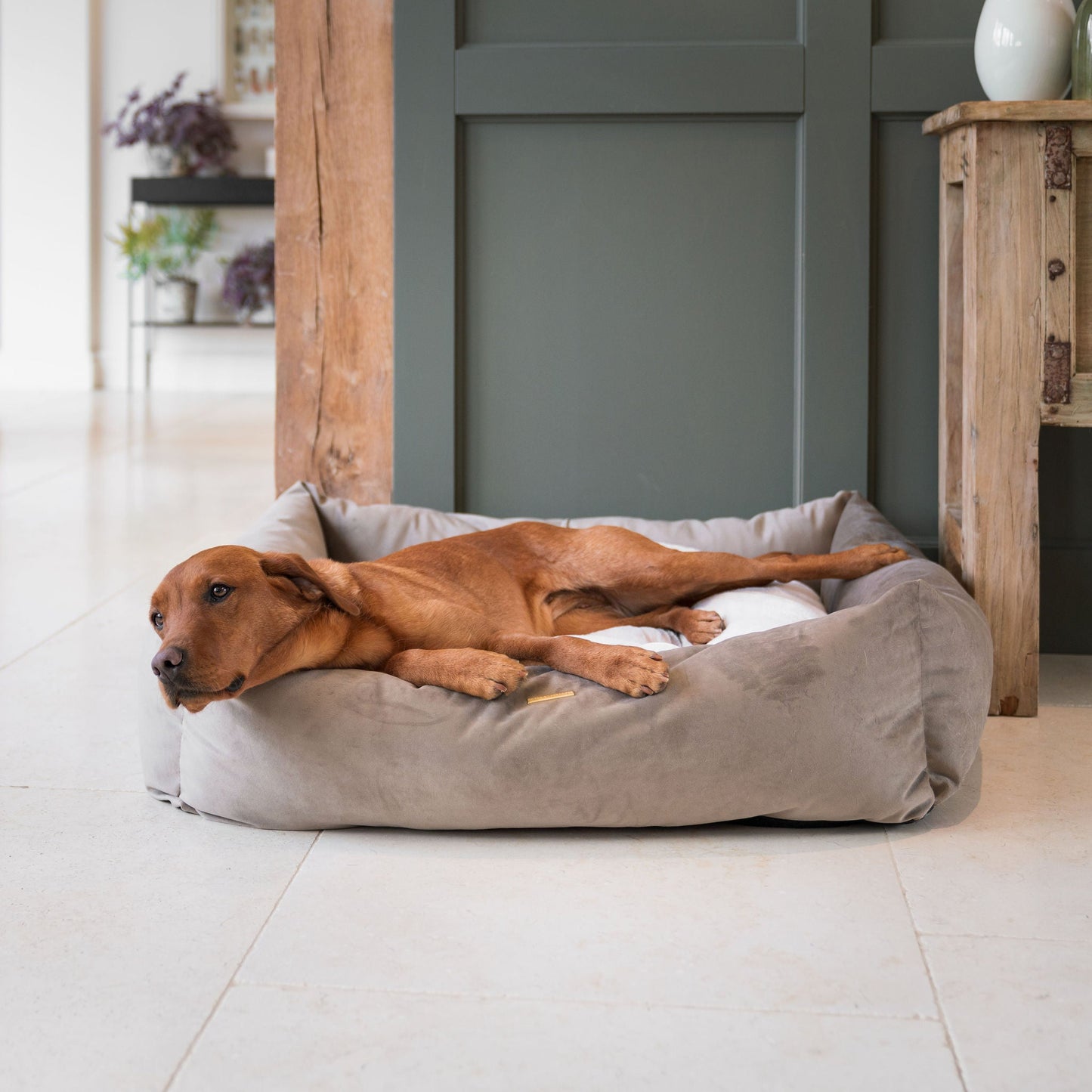 PETLOOM Velvet Box Dog Bed™
