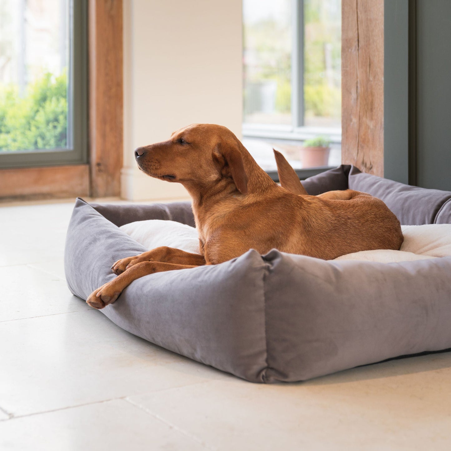 PETLOOM Velvet Box Dog Bed™