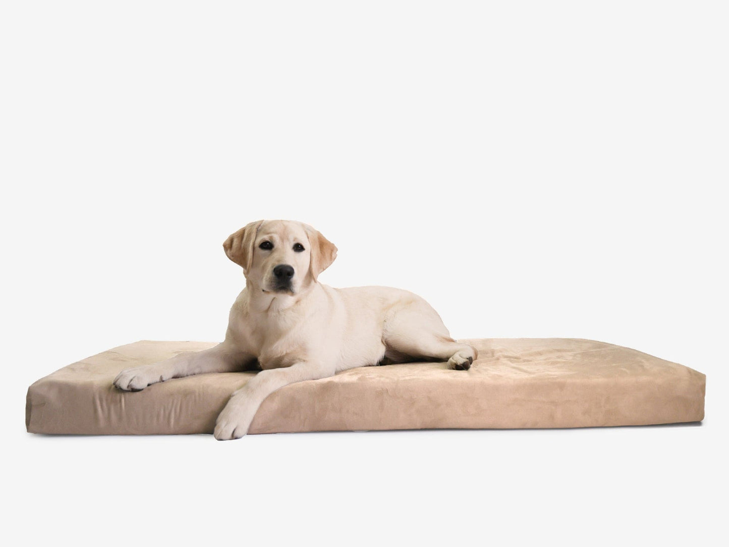 PETLOOM OrthoLift Orthopedic Crate Bed™