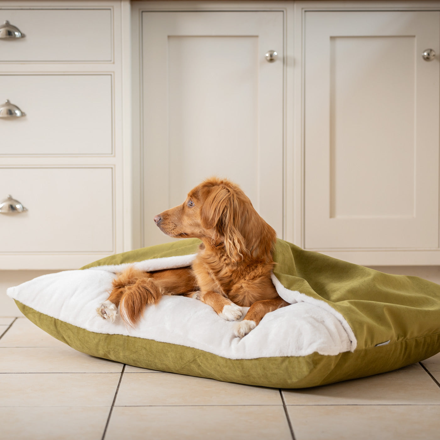 PETLOOM Sleepy Burrows Velvet Dog Bed™