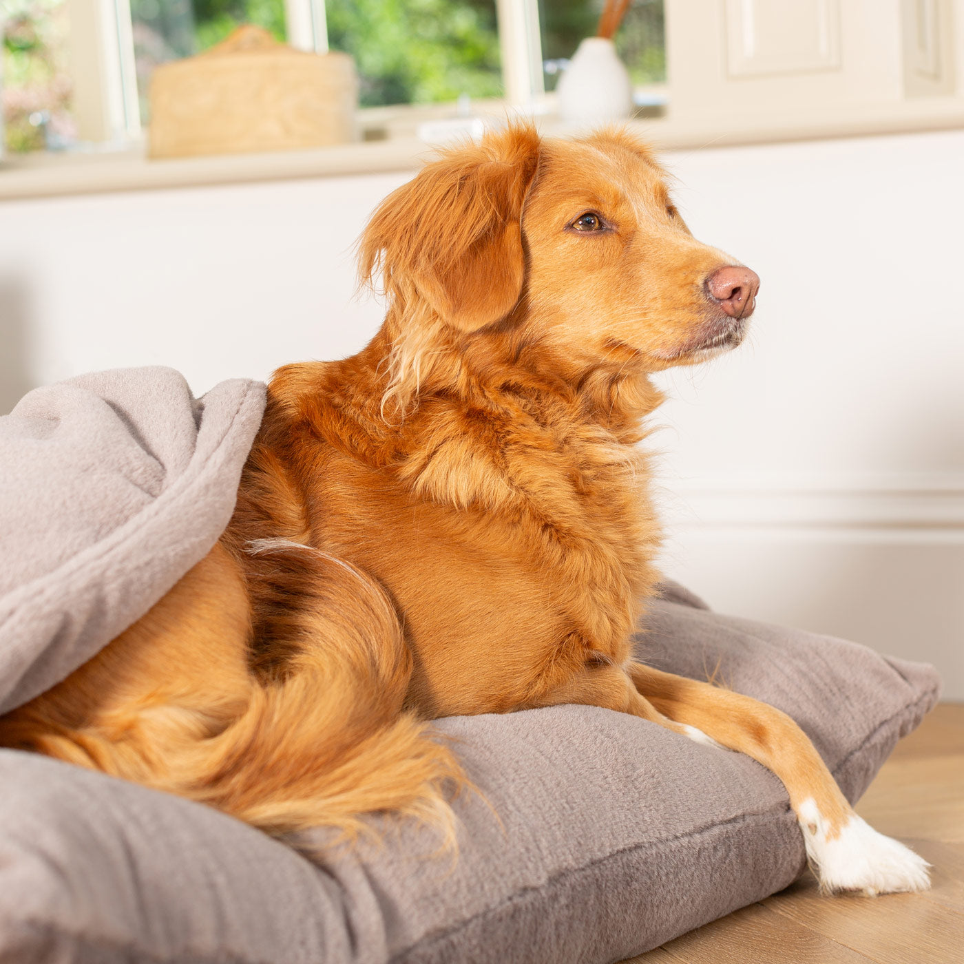 PETLOOM Sleepy Burrows Calming Faux Fur Dog Bed™