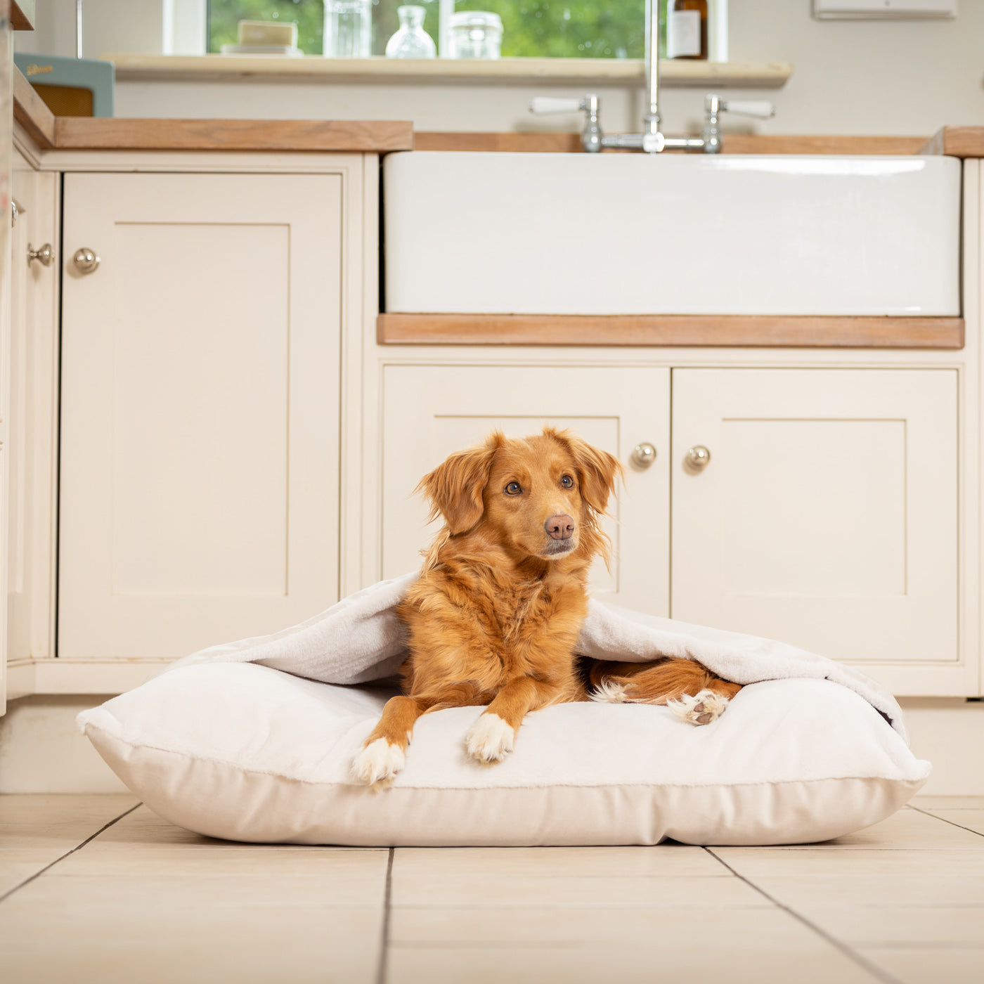 PETLOOM Sleepy Burrows Velvet Dog Bed™
