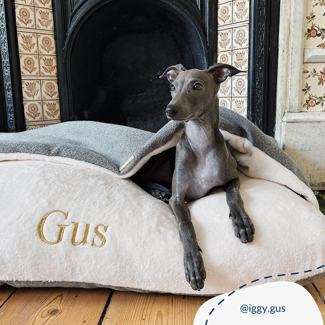 PETLOOM Sleepy Burrows Herringbone Dog Bed™