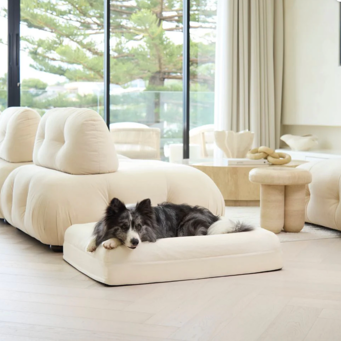 PETLOOM Cooling Orthopedic Dog Bed Cover™ – Memory Foam Support with Thermo Technology