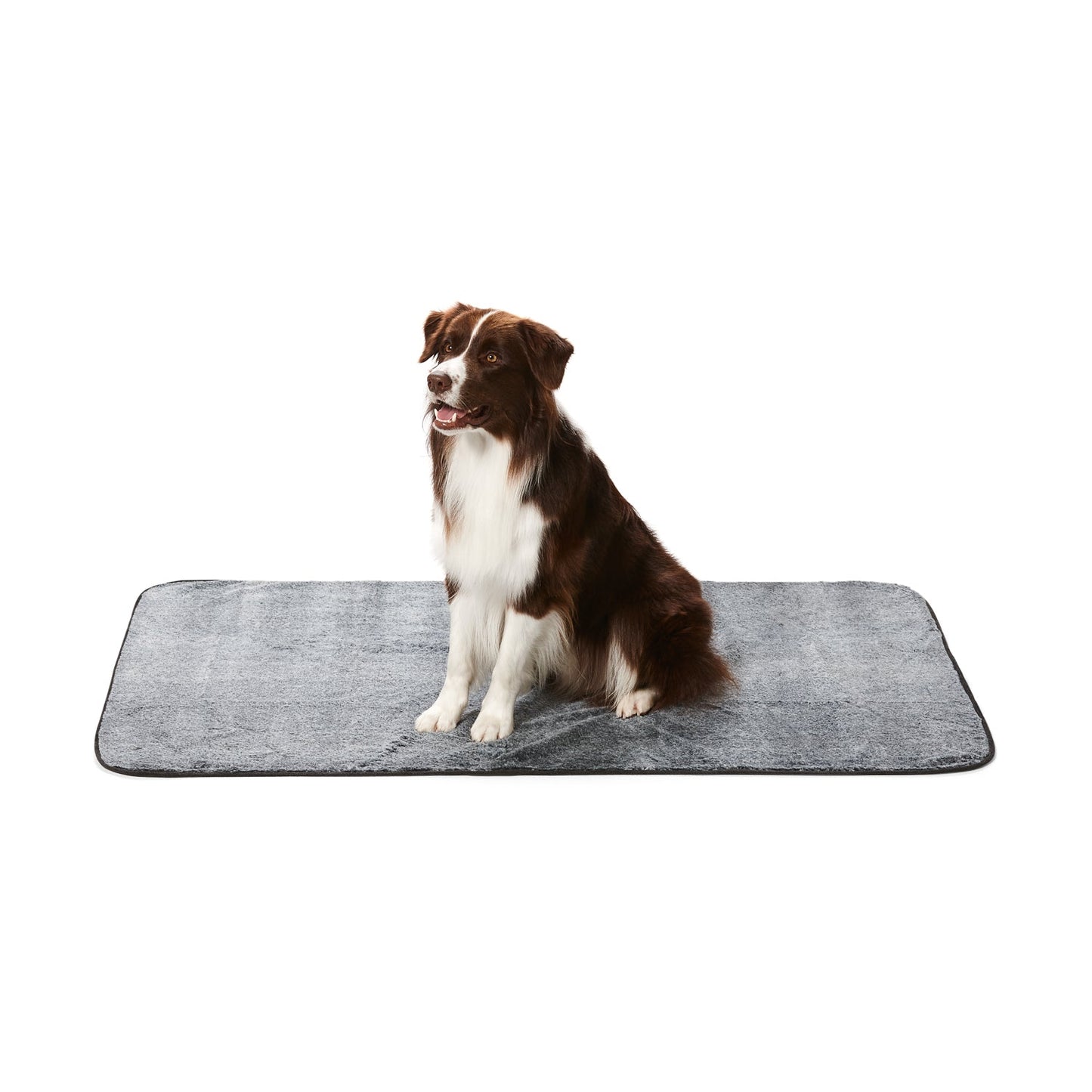 PETLOOM Dry Luxe Blanket™