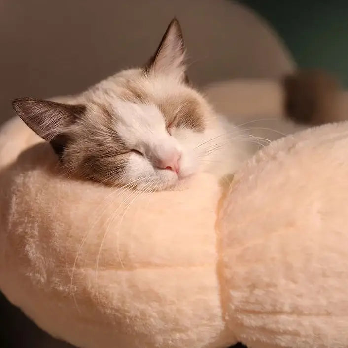 PETLOOM Bloomy Flower Plush Cat Bed™