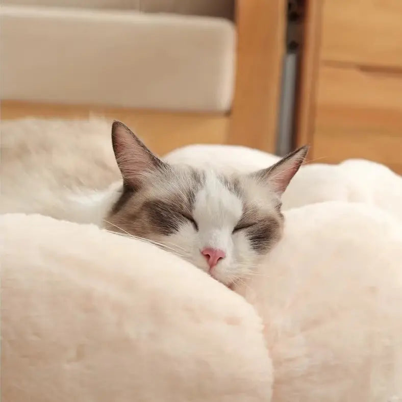 PETLOOM Bloomy Flower Plush Cat Bed™