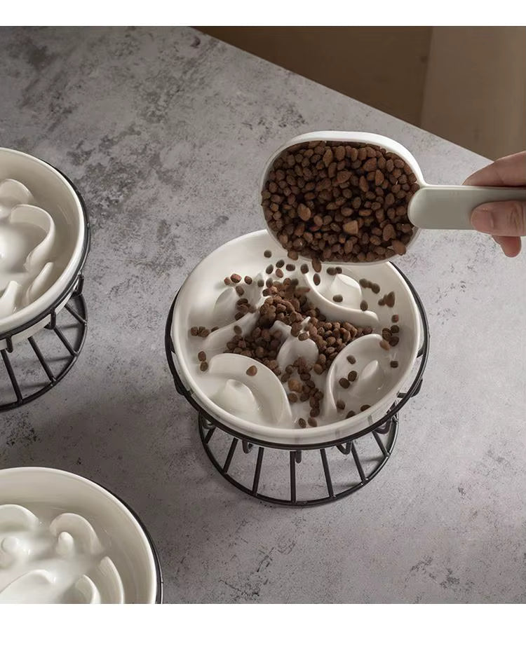 Petloom Lumière modern pet bowl for dogs and cats