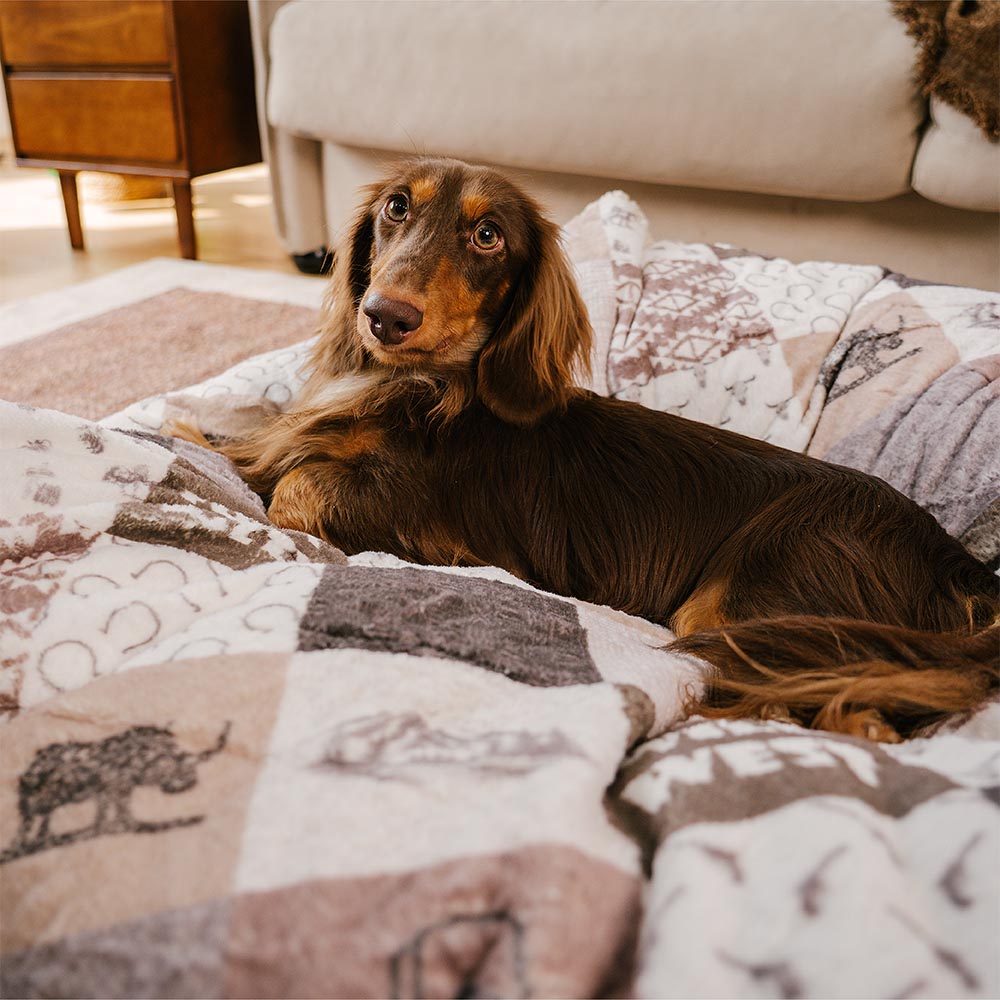 PETLOOM – Washable Anti-Scratch Boho Tassel Calming Round Dog Bed™