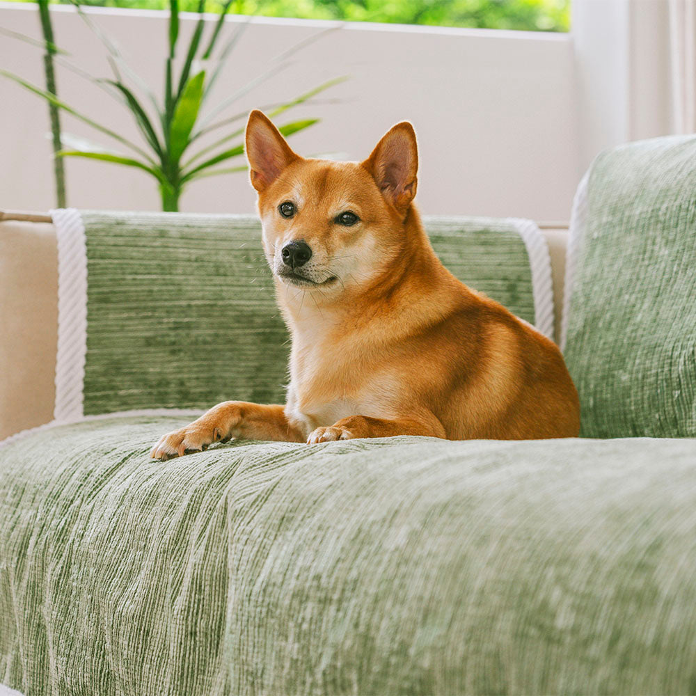 PETLOOM – All-Season Anti-Slip Striped Pet Rug Furniture Protector with Armrest Couch Cover™