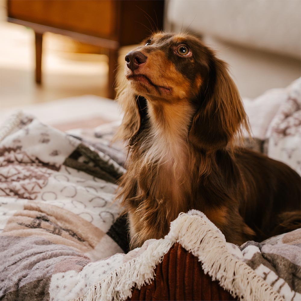 PETLOOM – Washable Anti-Scratch Boho Tassel Calming Round Dog Bed™