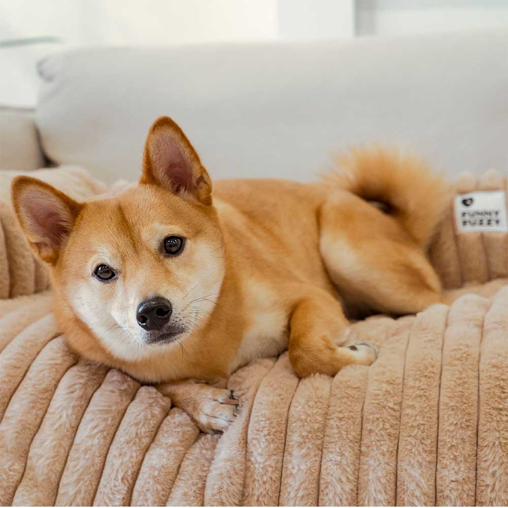 PETLOOM Fluffy Sofa Blanket Bolster Dog Mat Couch Cover™