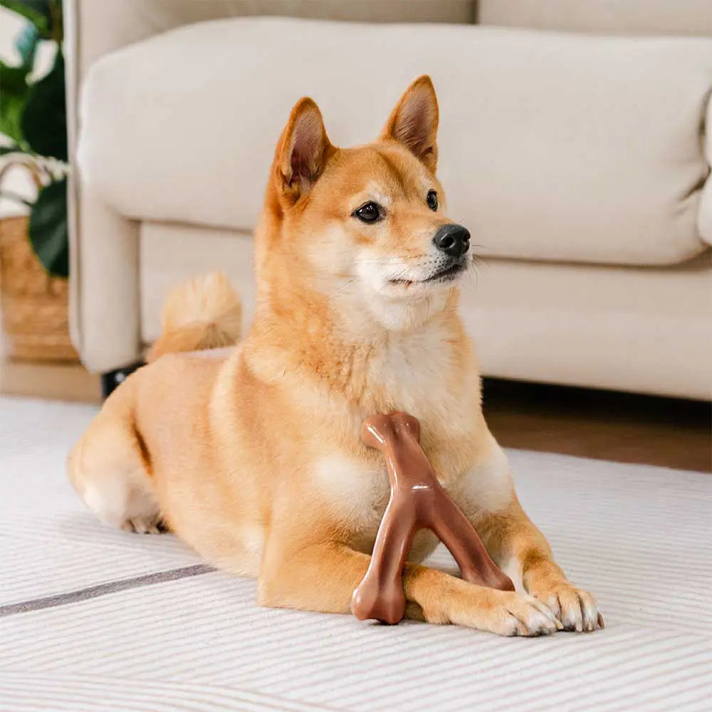 PETLOOM Bacon-Flavored Teething Bones Dog Chew Toy™