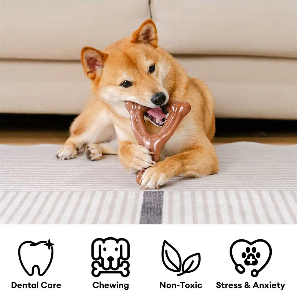 PETLOOM Bacon-Flavored Teething Bones Dog Chew Toy™