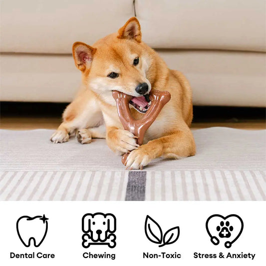 PETLOOM Bacon-Flavored Teething Bones Dog Chew Toy™