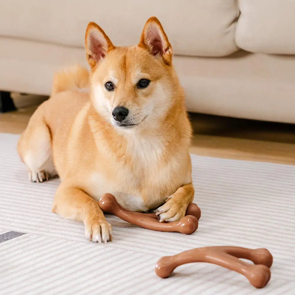 PETLOOM Bacon-Flavored Teething Bones Dog Chew Toy™