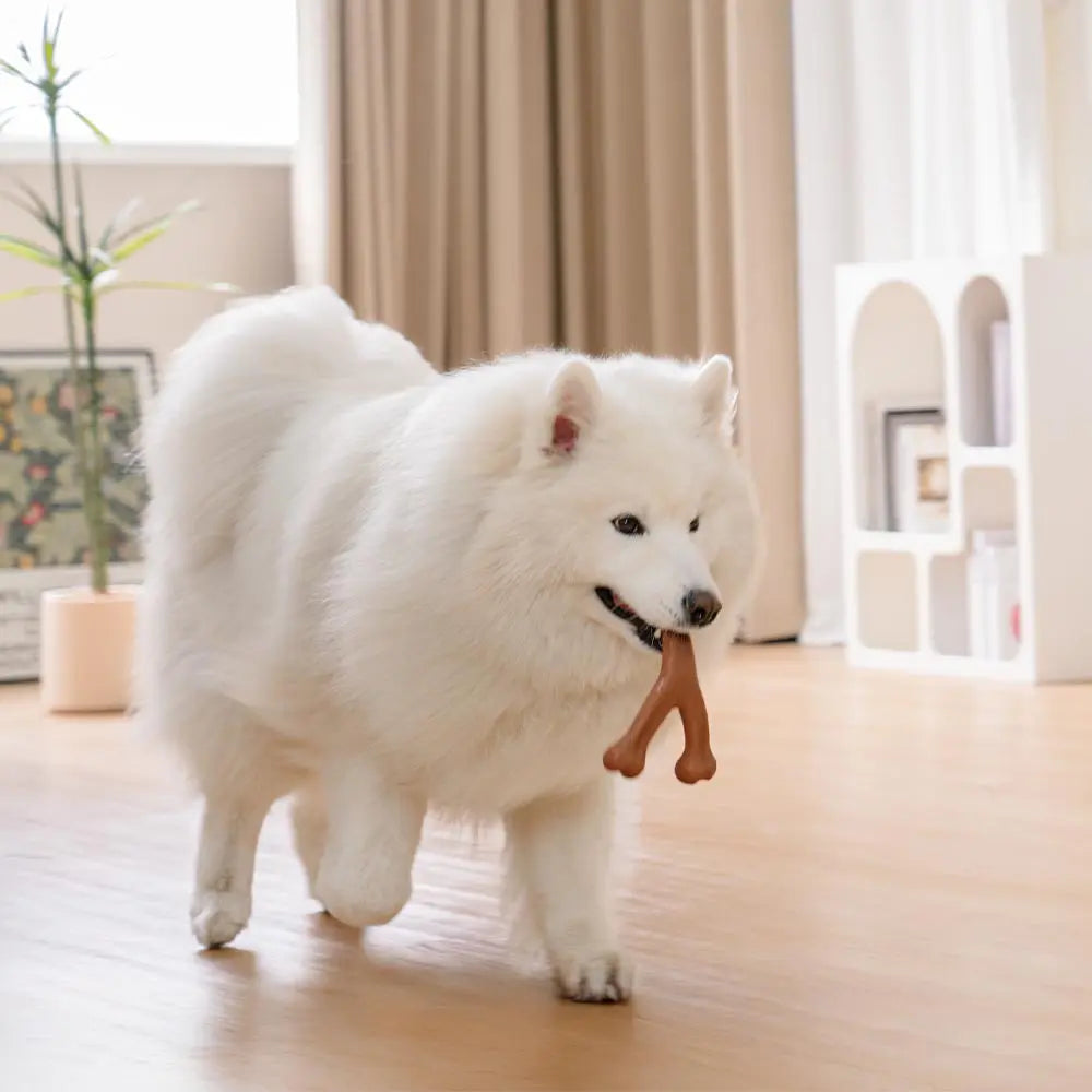 PETLOOM Bacon-Flavored Teething Bones Dog Chew Toy™