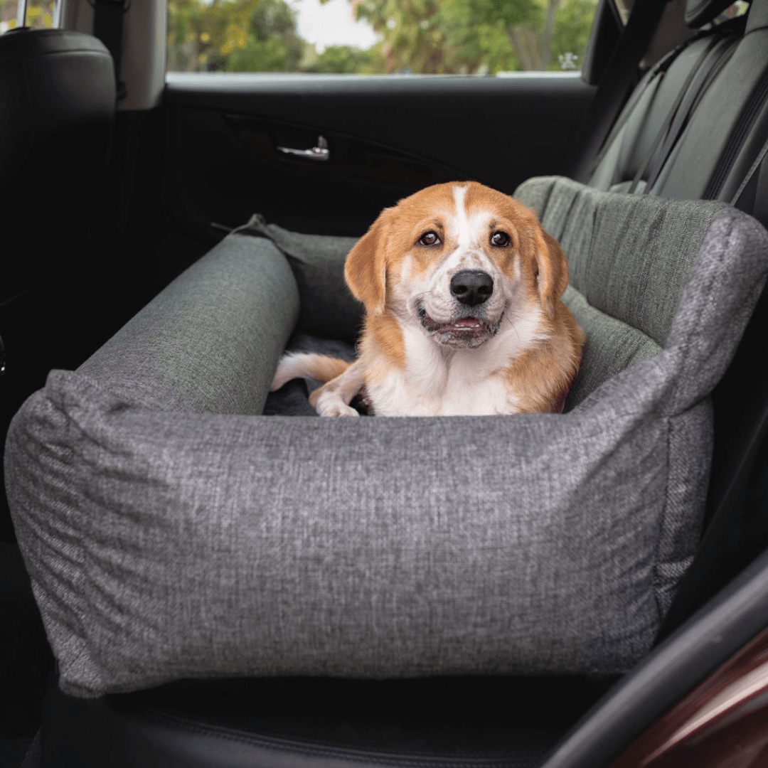 PETLOOM Memory Foam Dog Car Bed™