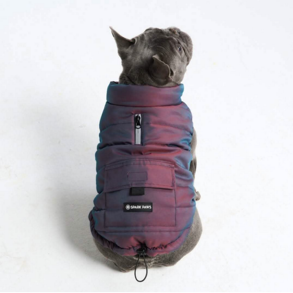 Petloom All-Season Insulated Dog Jacket™