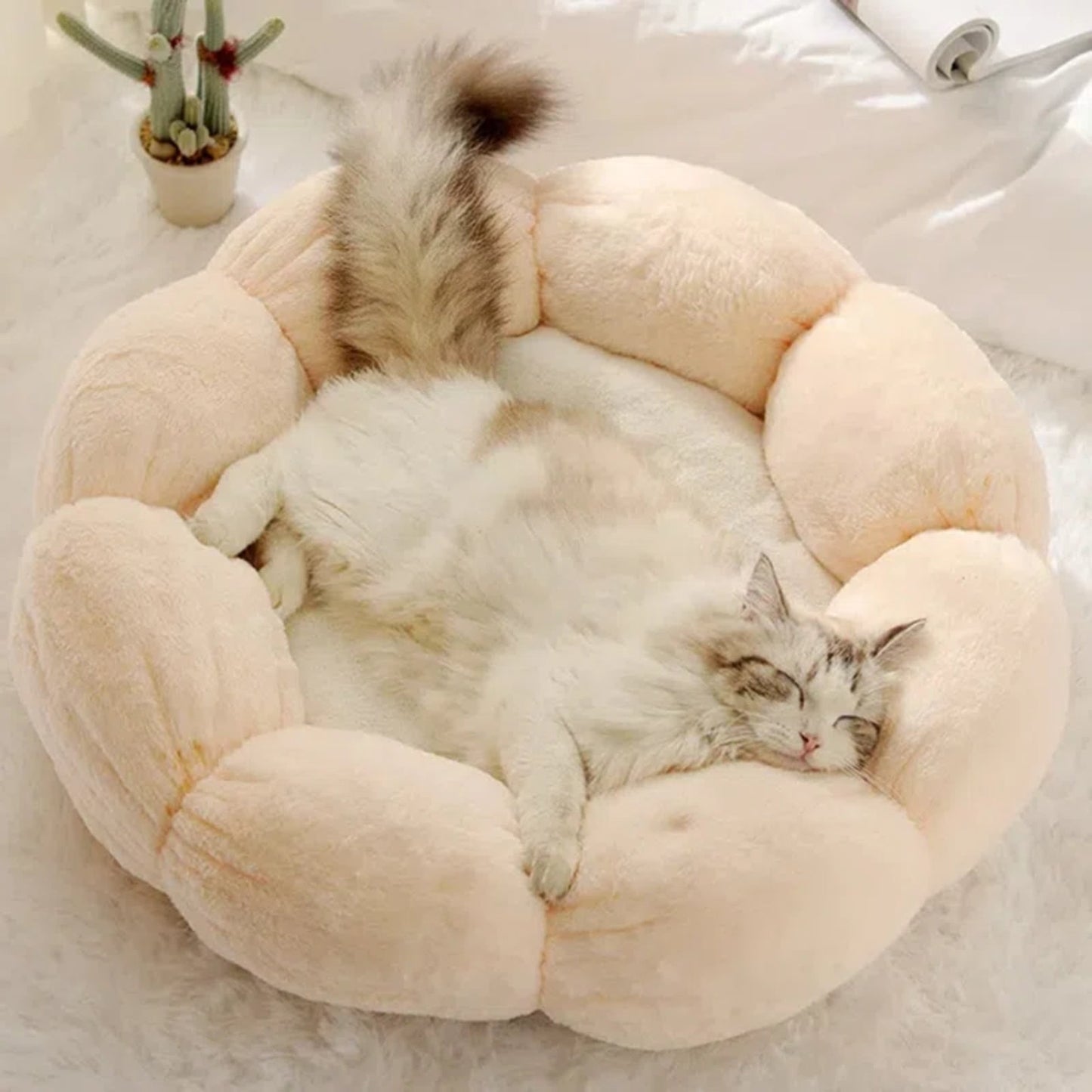 PETLOOM Bloomy Flower Plush Cat Bed™