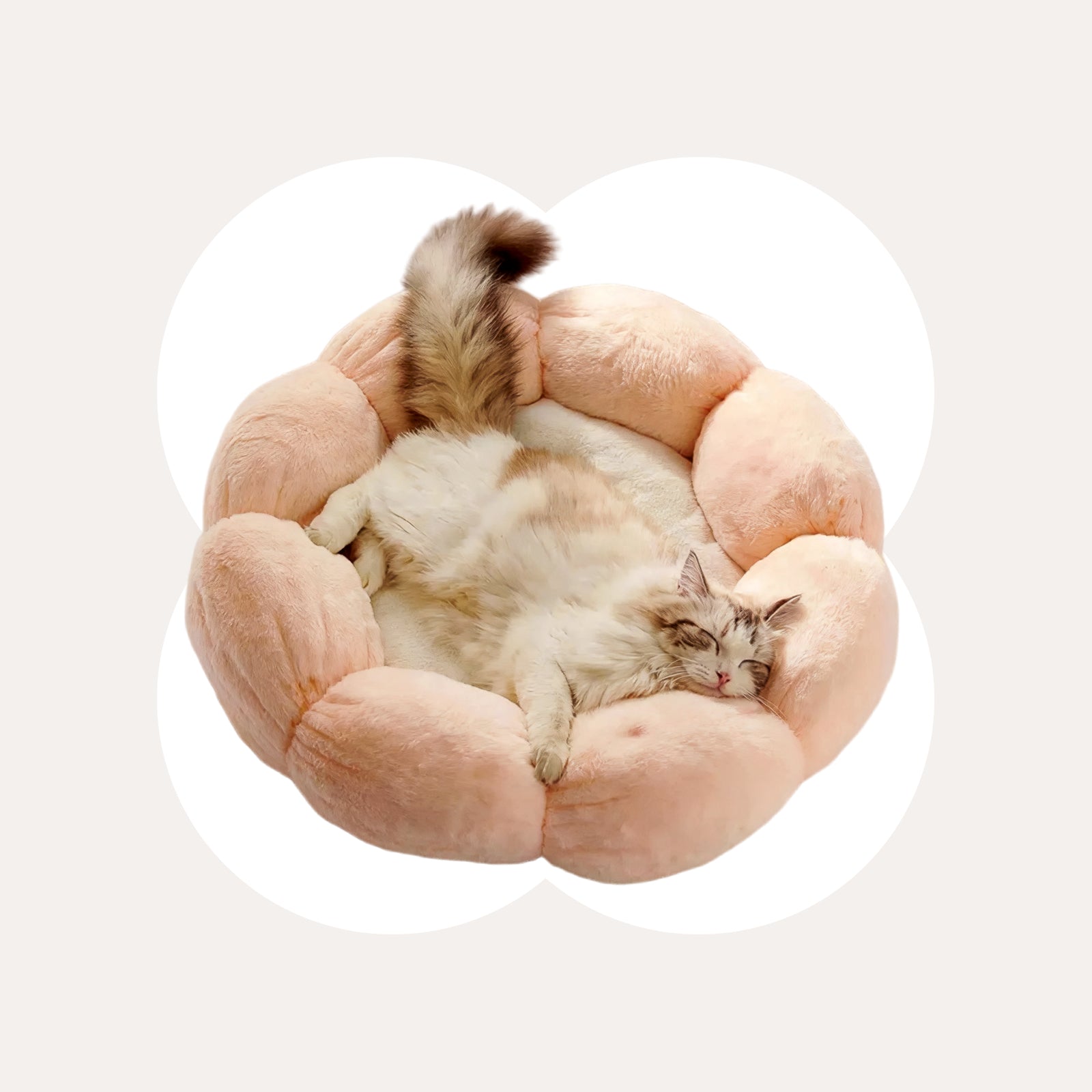 PETLOOM Bloomy Flower Plush Cat Bed™
