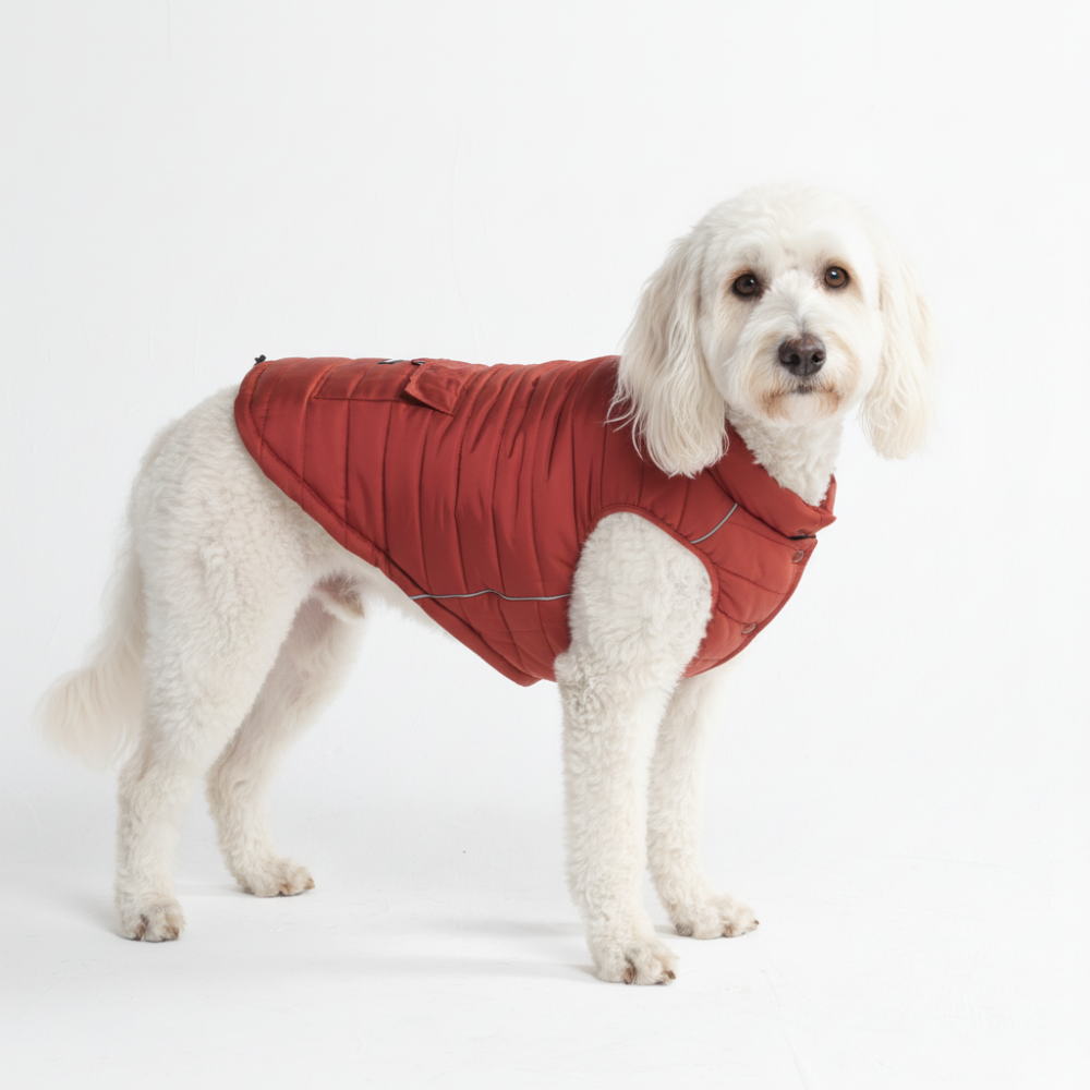 Petloom All-Season Insulated Dog Jacket™