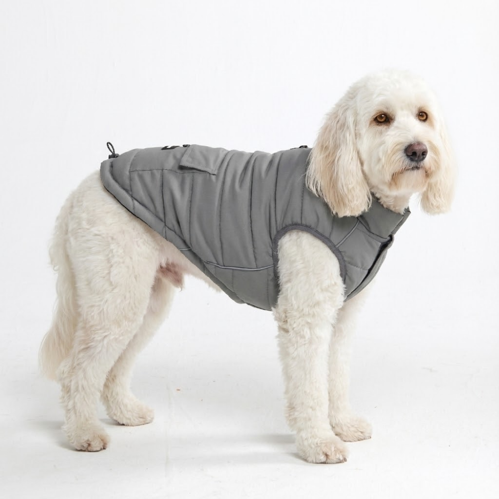 Petloom All-Season Insulated Dog Jacket™