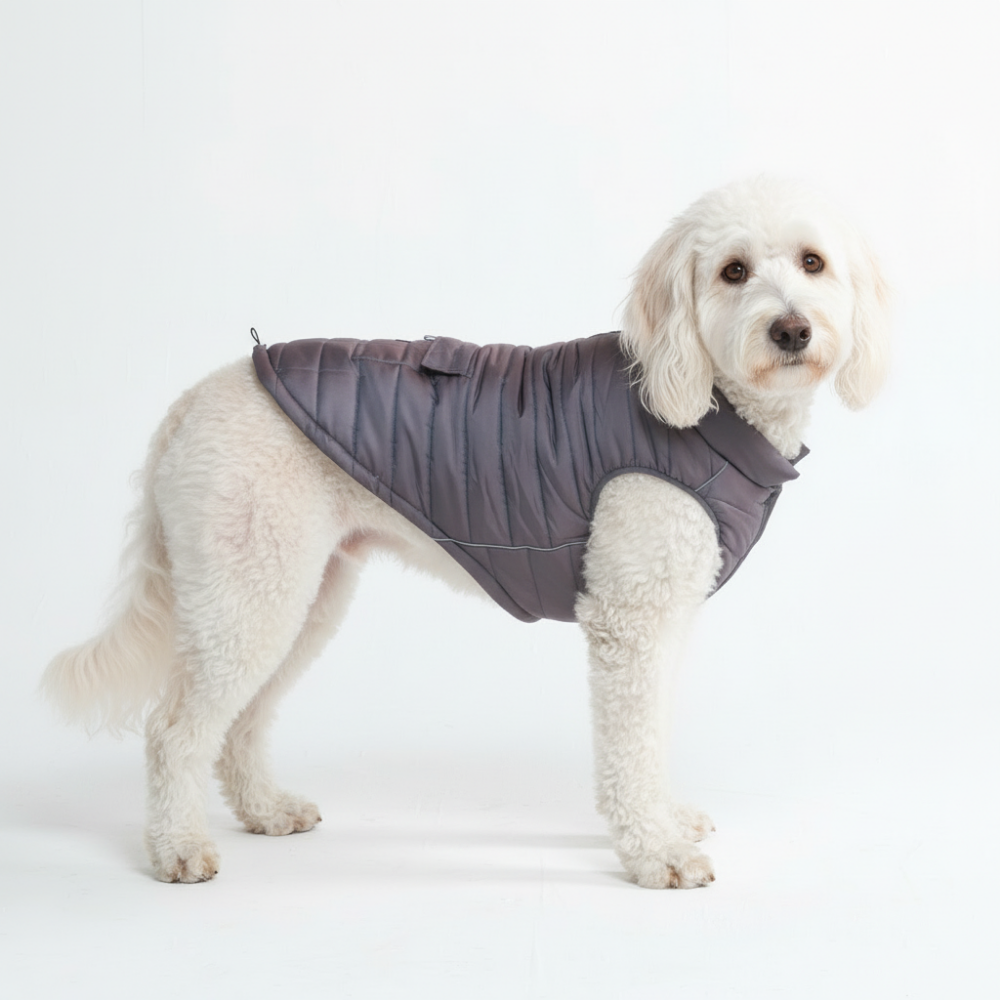 Petloom All-Season Insulated Dog Jacket™