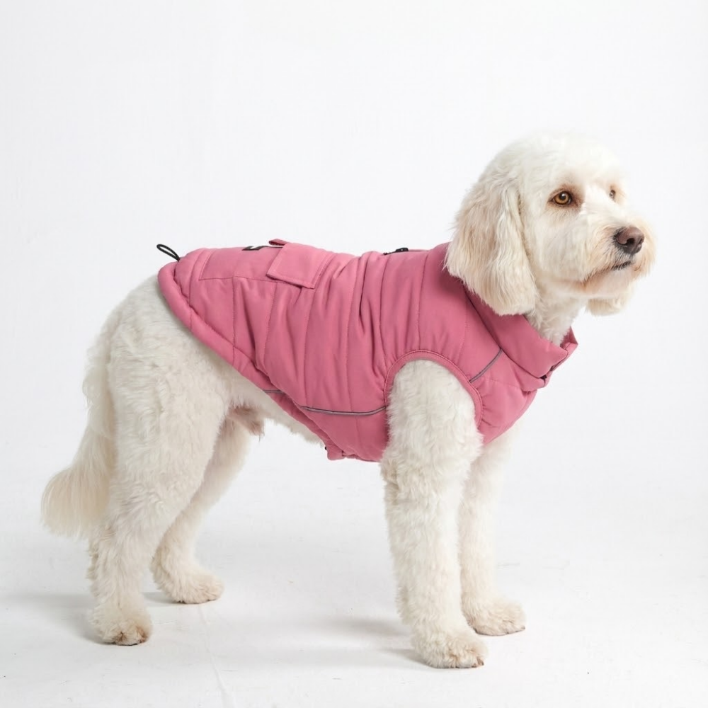 Petloom All-Season Insulated Dog Jacket™