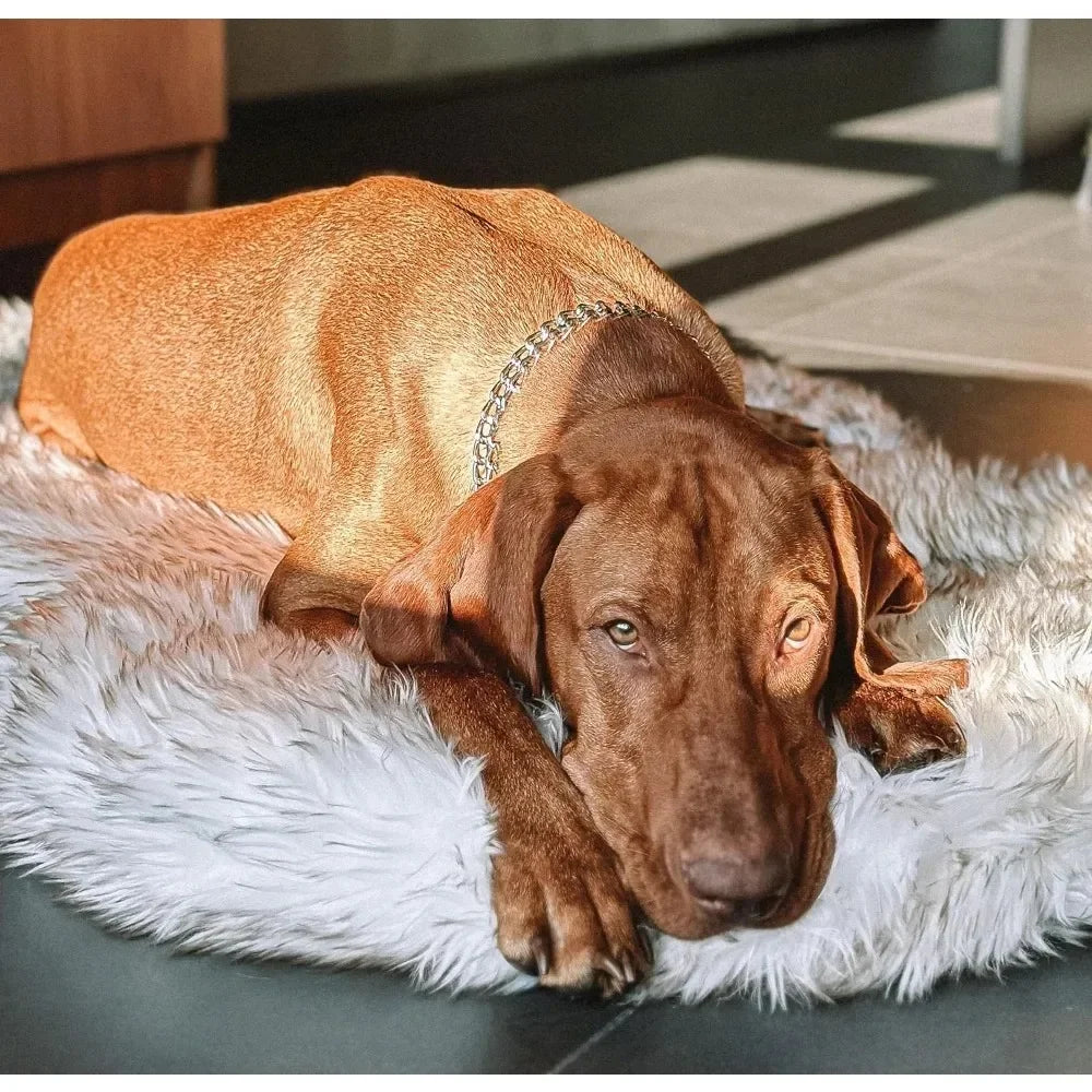 Petloom orthopedic memory foam dog bed for joint support

