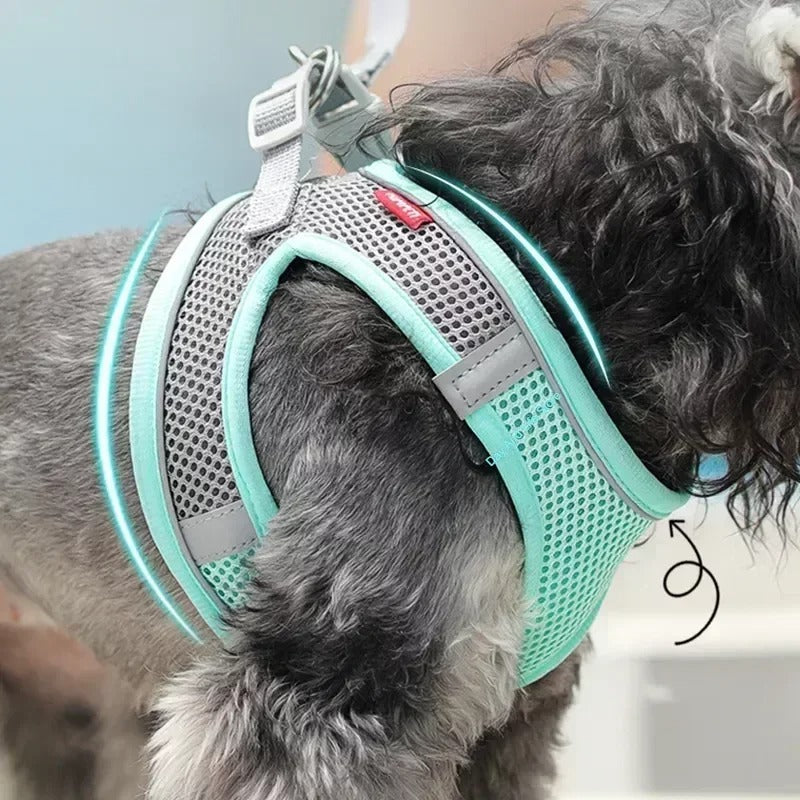 Petloom Puppy Harness™