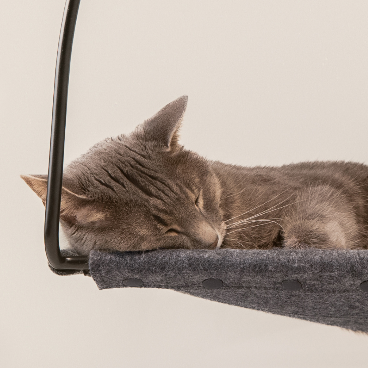 PETLOOM Cloud Nine Window Cat Hammock™