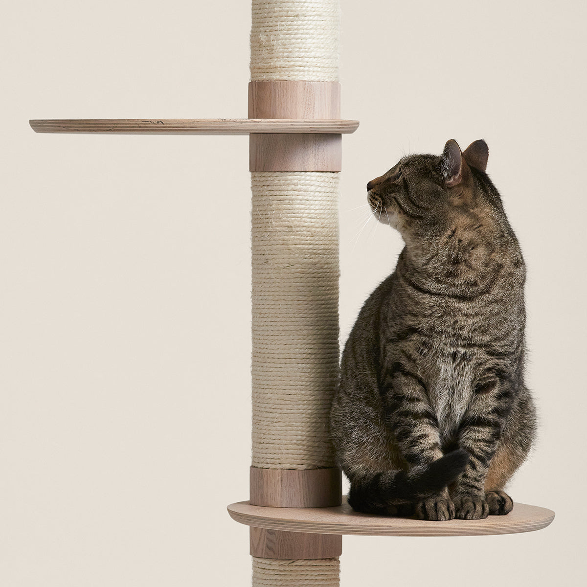PETLOOM Frond Cat Tree™