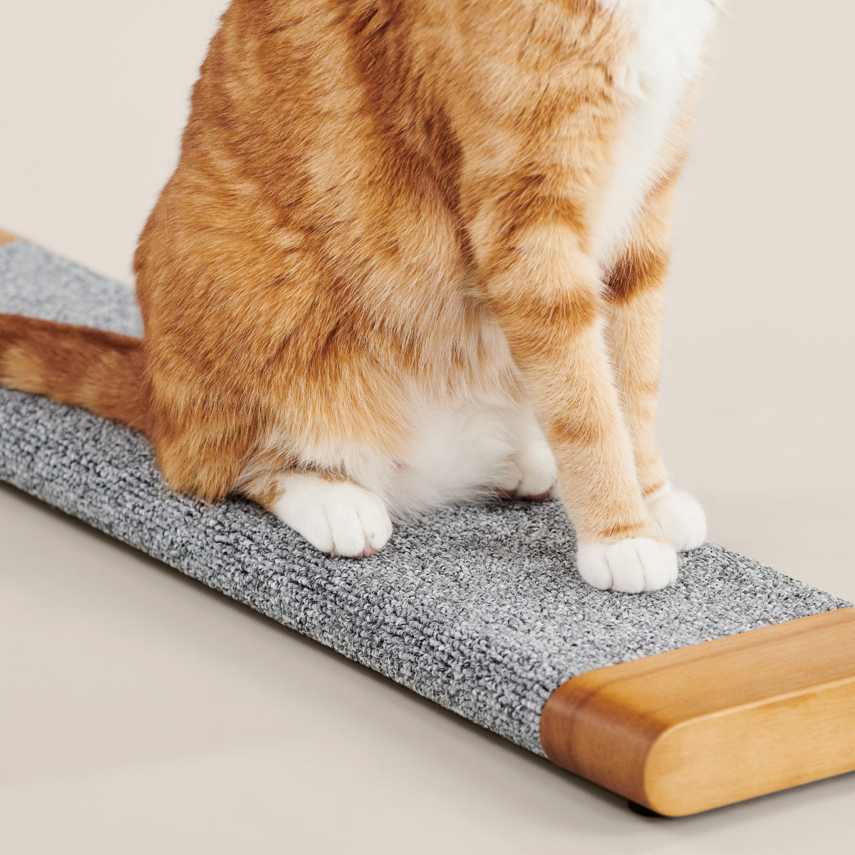 PETLOOM Tab Scratching Board™