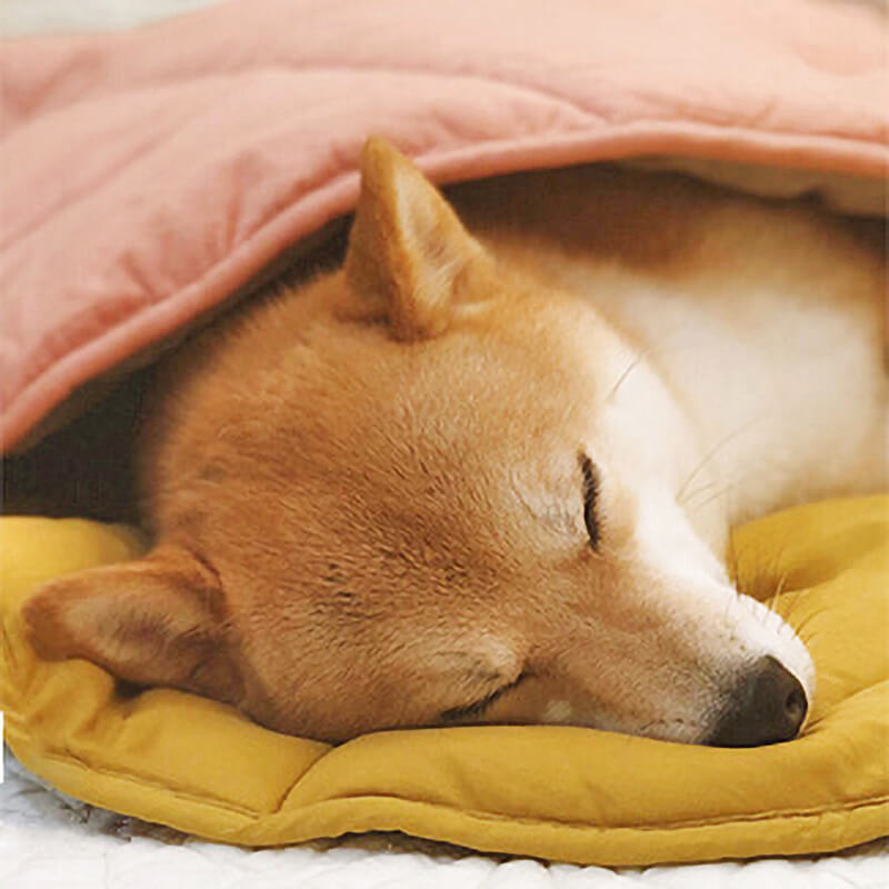 PETLOOM Leaf Shape Dog Blanket™