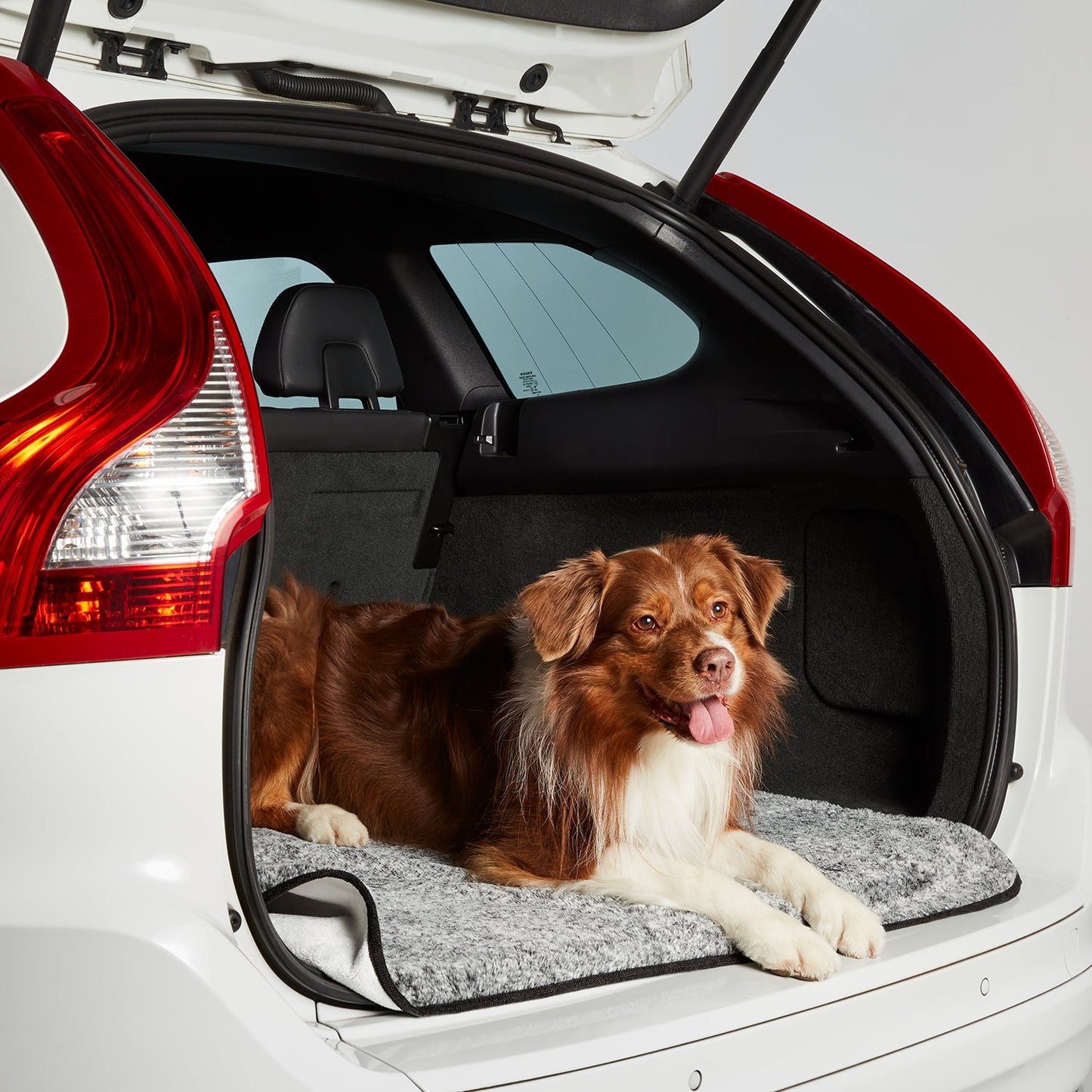 PETLOOM Dry Luxe Blanket™