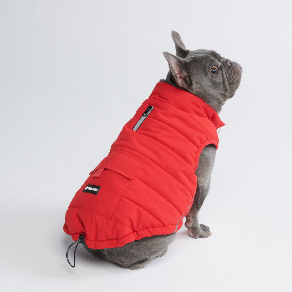Petloom All-Season Insulated Dog Jacket™