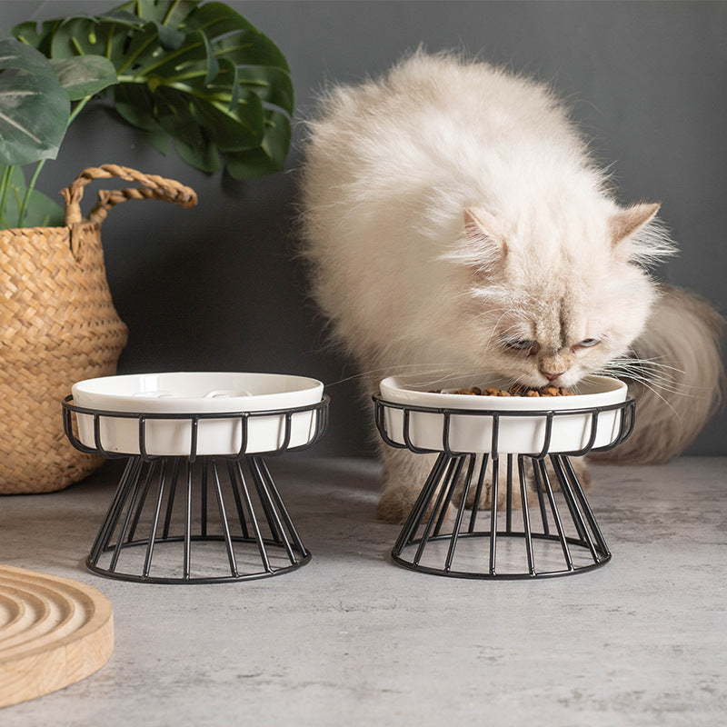 Petloom Lumière modern pet bowl for dogs and cats