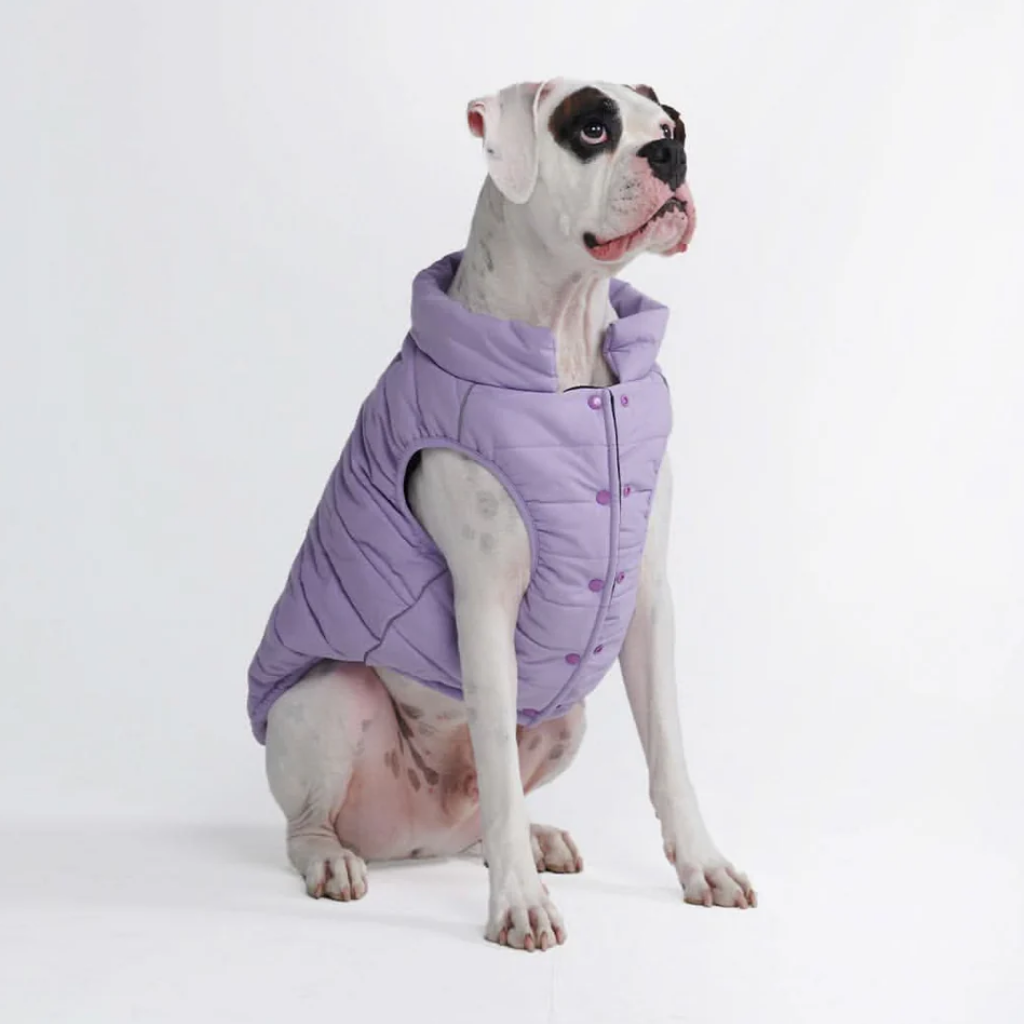 Petloom All-Season Insulated Dog Jacket™