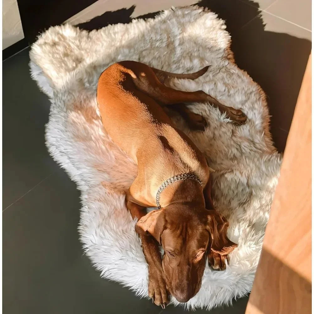Petloom orthopedic memory foam dog bed for joint support
