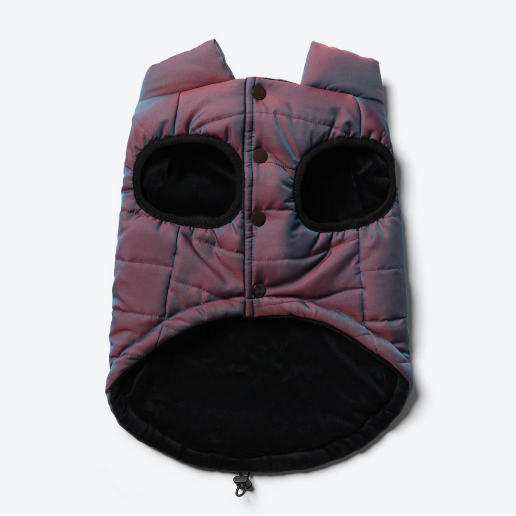 Petloom All-Season Insulated Dog Jacket™