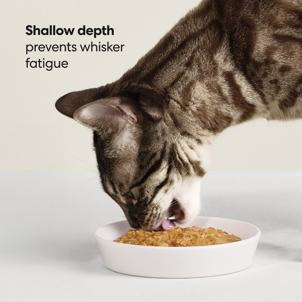 PETLOOM Dock Ceramic Cat Bowl™