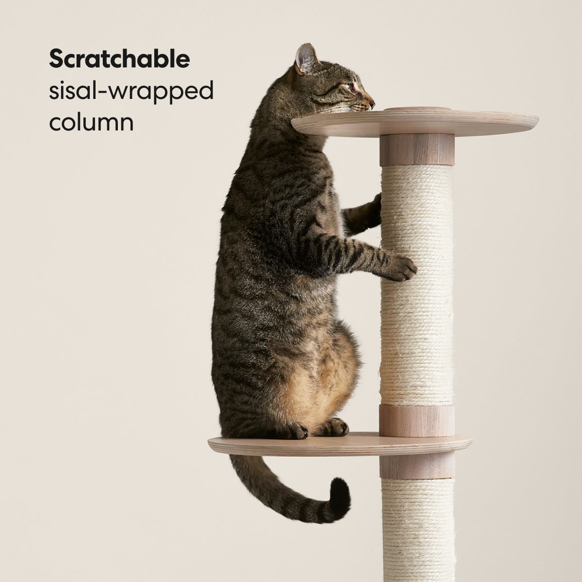 PETLOOM Frond Cat Tree™