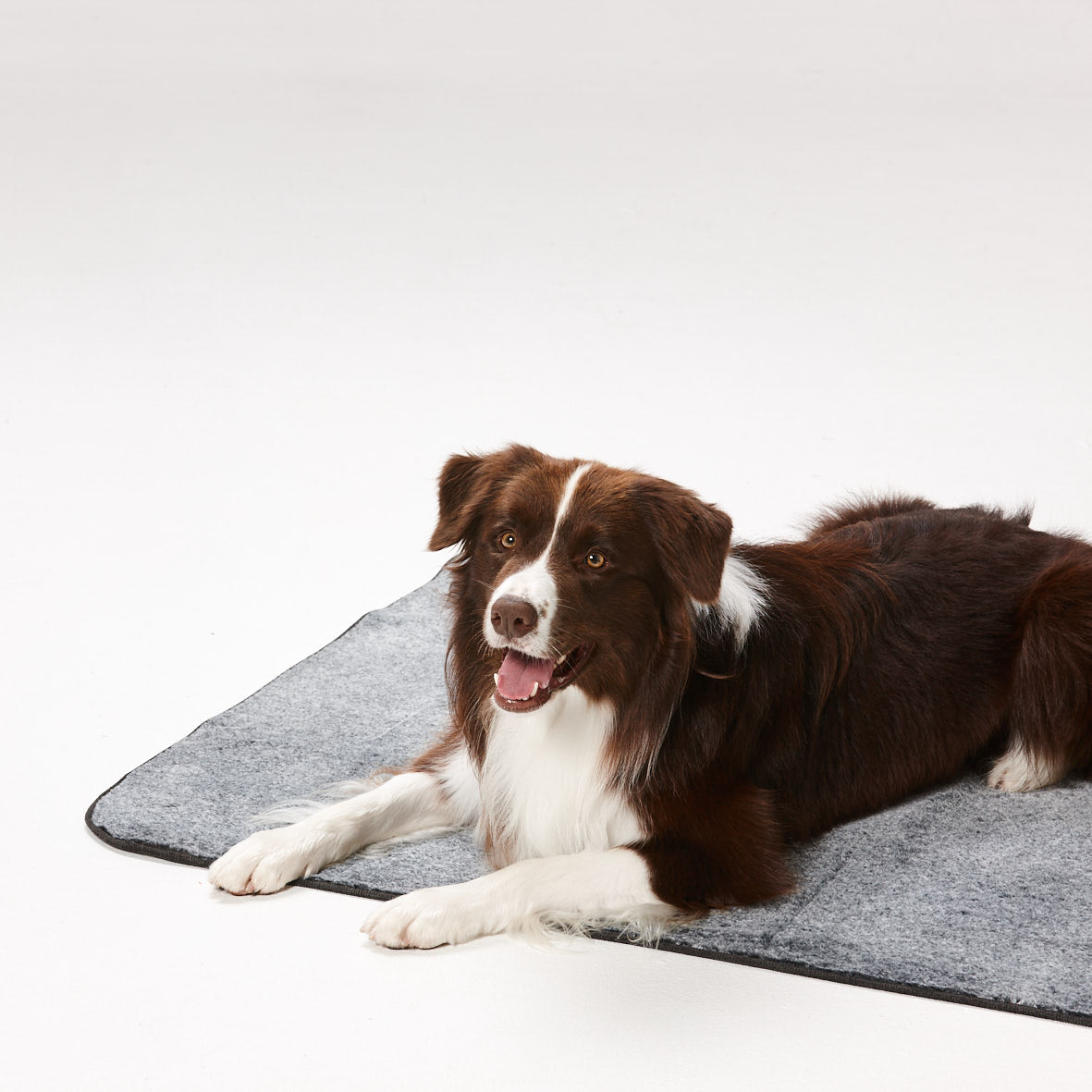PETLOOM Dry Luxe Blanket™