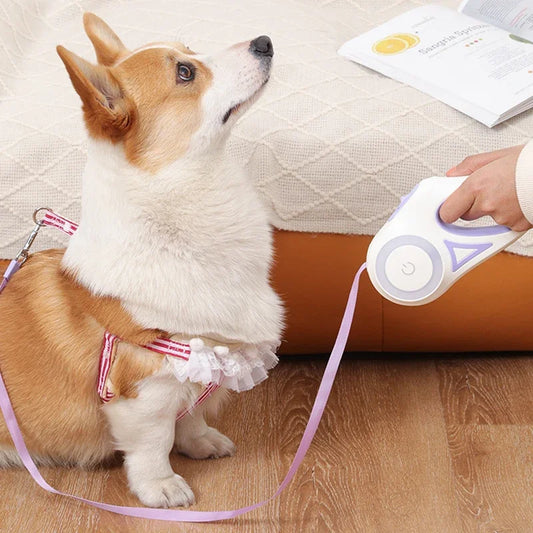 Petloom LED Retractable Dog Leash™