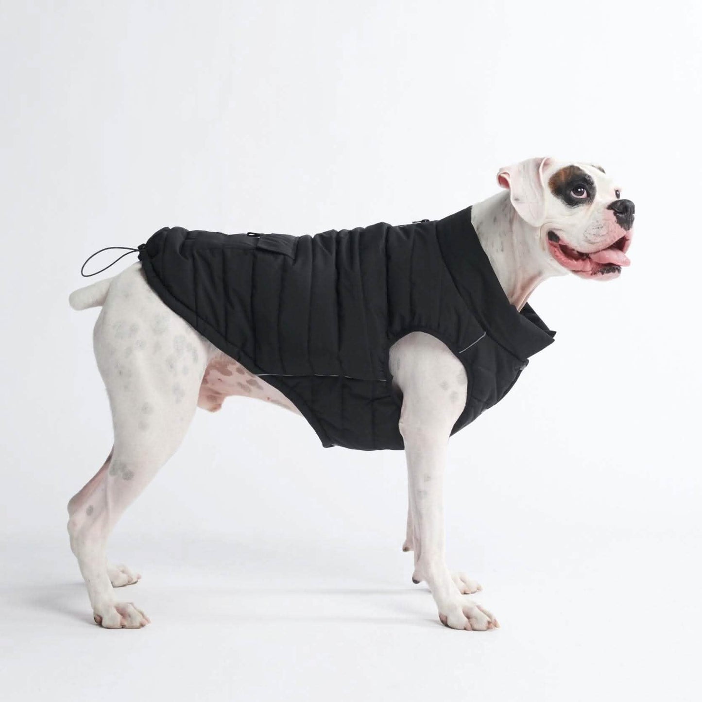 Petloom All-Season Insulated Dog Jacket™
