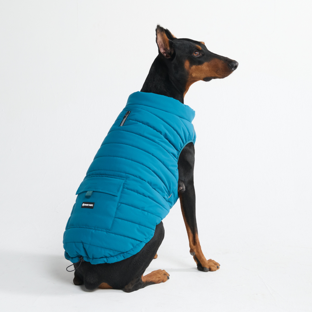 Petloom All-Season Insulated Dog Jacket™
