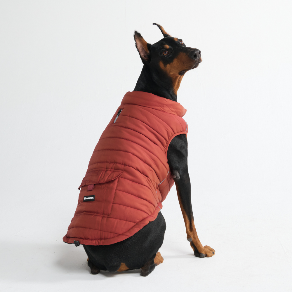 Petloom All-Season Insulated Dog Jacket™