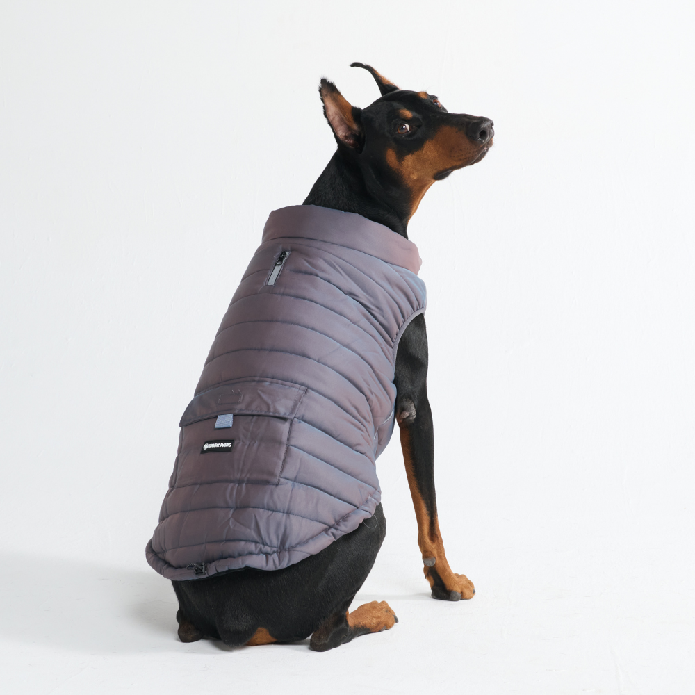 Petloom All-Season Insulated Dog Jacket™