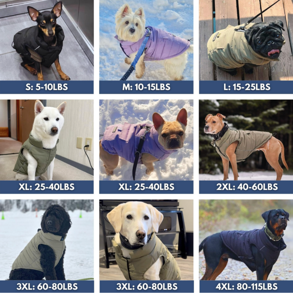 Petloom All-Season Insulated Dog Jacket™